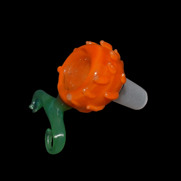 douille fruit démon 2