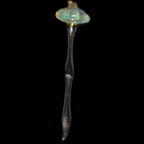 dabber scarab